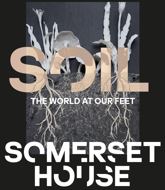 SOIL: The World at Our Feet