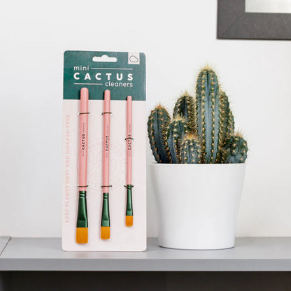 Mini Cactus Cleaners