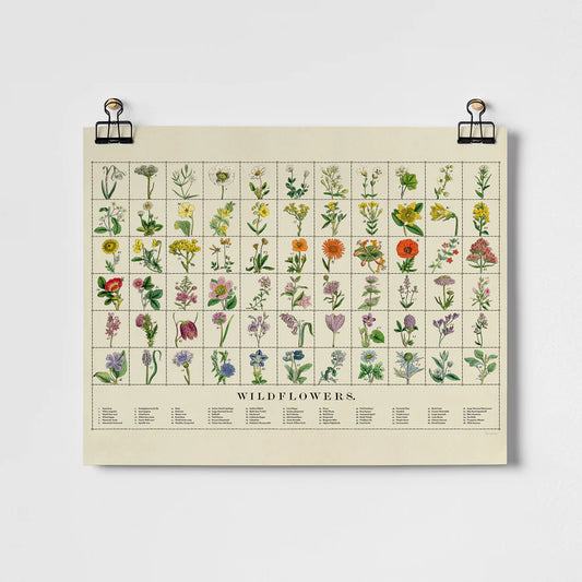 British Wildflowers print Medium - 40x50cm