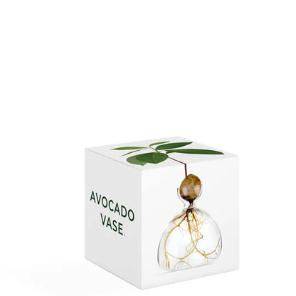 Avocado Vase - Clear