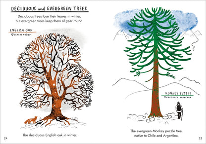 Little Guides to Nature: Hello Trees